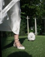 TAYLOR - FEMALE (PURCHASED by IAN) - Image 5