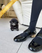 MISTY - FEMALE (PURCHASED by ANONYMOUS) - Image 3