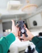 BAMBI - FEMALE (PURCHASED by DOMINIQUE)