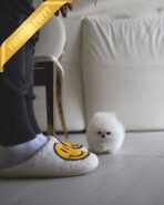 SOM - MALE (Purchase by Анна) - Image 2