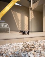 ENZO - MALE (PURCHASED by POUPAE) - Image 5