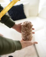 CAMILLE - FEMALE (PURCHASED by KIM) - Image 4