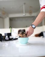 JAKE - MALE (PURCHASED by YUKI) - Image 3