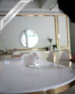 PUFFIN - FEMALE (PURCHASED by LILLIANE) - Image 7