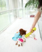 STELLA - FEMALE (PURCHASED by JESSICA) - Image 3