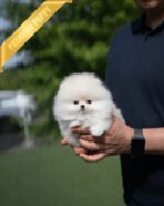 CLOUD - FEMALE (PURCHASED by CATHERINE) - Image 4