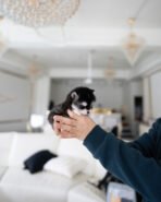 LEO - MALE (PURCHASED by GILBERTO) - Image 3