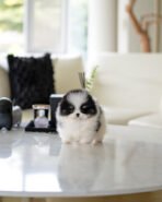 MOOMOO - FEMALE (PURCHASED by ROBERTA) - Image 3