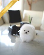 PUFF - FEMALE (PURCHASED by ANONYMITY) - Image 2