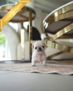 WRINKLES - FEMALE (PURCHASED by CHEN) - Image 3