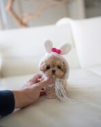 CAMILLE - FEMALE (PURCHASED by KAREN)