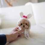 CAMILLE - FEMALE (PURCHASED by KAREN)