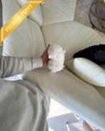 GELTA - FEMALE (PURCHASED by JANG) - Image 4