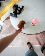 BERRY - FEMALE (PURCHASED by MARY) - Image 6