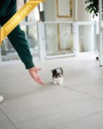 BRUNO - MALE (PURCHASED by NATASHA) - Image 7