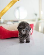 NALA - FEMALE (PURCHASED by LIN)