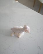 BIANCA - FEMALE (PURCHASED by ANA) - Image 7