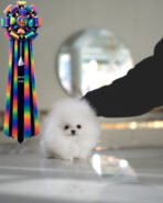 MARLENE - FEMALE (PURCHASED by JENNIFER) - Image 2