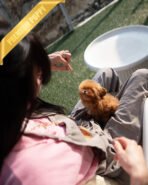 JESSICA - FEMALE (PURCHASED by MARIE) - Image 4