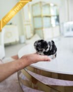 DIOR - FEMALE (PURCHASED by ANONYMOUS) - Image 4