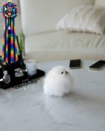 DOLCE - FEMALE (PURCHASED by ALEX) - Image 5