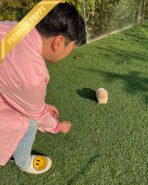 ZOEY - FEMALE (PURCHASED by LISA) - Image 8