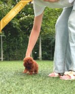 AMELIA - FEMALE (PURCHASED by TAMARA) - Image 5