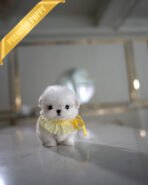 BENTLEY - MALE (PURCHASED by JAMES)