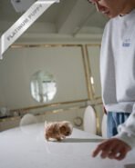 BREANA - FEMALE (PURCHASED by ROKHSAREH) - Image 6