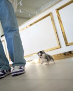 NANA - FEMALE (PURCHASED by FATIMA) - Image 4