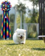 ABBY - FEMALE (PURCHASED by WANG) - Image 2