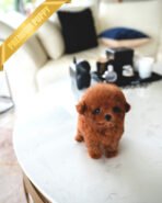 BERRY - FEMALE (PURCHASED by MARY) - Image 2