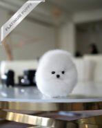 MOCHI - FEMALE (PURCHASED by KIMBERLY) - Image 2