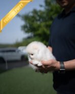 CLOUD - FEMALE (PURCHASED by CATHERINE) - Image 6