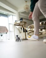 BAMBI - FEMALE (PURCHASED by DOMINIQUE) - Image 4