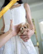 MELINA - FEMALE (PURCHASED by ANT) - Image 2