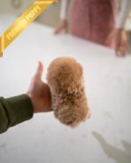 ZOE - FEMALE (PURCHASED by KAVEH) - Image 5