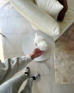 TOBY - MALE (PURCHASED by SAM) - Image 5