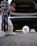 CLOUD - FEMALE (PURCHASED by WESAM) - Image 3