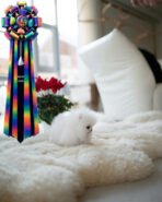 MARLENE - FEMALE (PURCHASED by JENNIFER) - Image 6