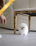 CLOUD - FEMALE (PURCHASED by ANONYMITY) - Image 3