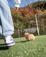 GAVIN - MALE (PURCHASED by JUN) - Image 5