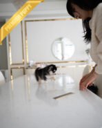 OSCAR - MALE - Image 5