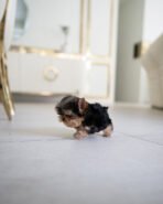 JAKE - MALE (PURCHASED by YUKI) - Image 5