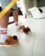 FELIX - MALE (PURCHASED by LINZ) - Image 4