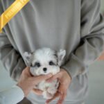 AARON - MALE (PURCHASED  by JOKE)