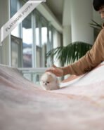 TIFFANY - FEMALE (PURCHASED by SONIA) - Image 6