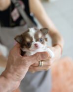 GIO - MALE (PURCHASED by ANONYMITY) - Image 3