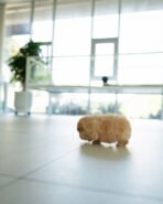 MOCHI - FEMALE (PURCHASED by JE) - Image 5