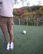 SKYLAR - FEMALE (PURCHASED by ANA) - Image 4